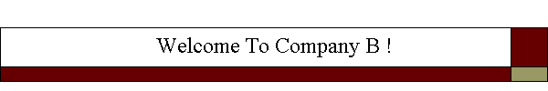 Welcome To Company B !